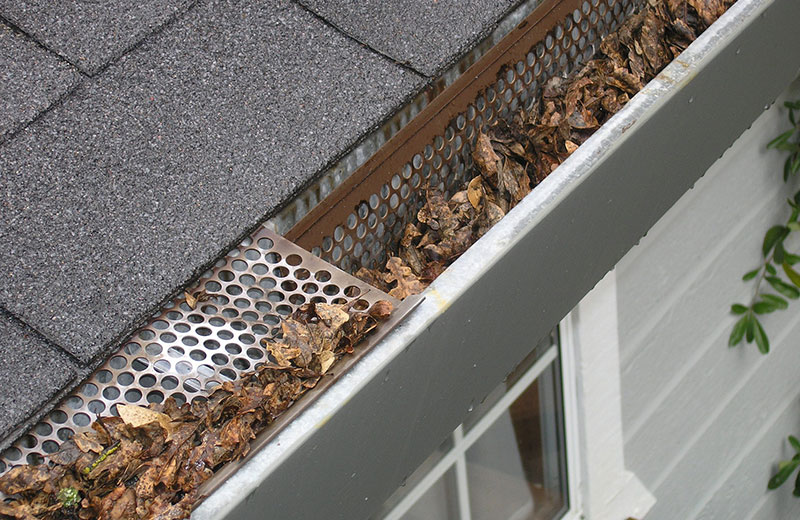 Gutter Cleaning Handyman Service